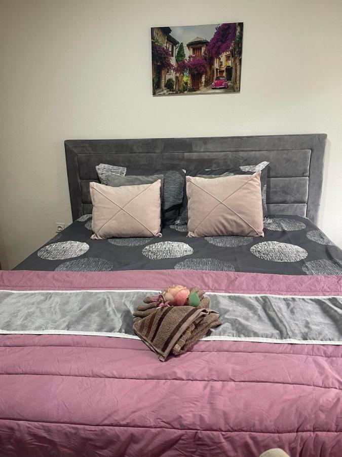 נובי פאזאר Aloha Apartment מראה חיצוני תמונה