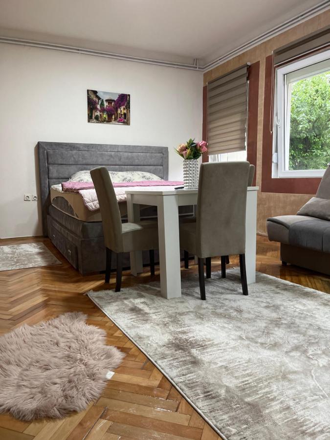 נובי פאזאר Aloha Apartment מראה חיצוני תמונה